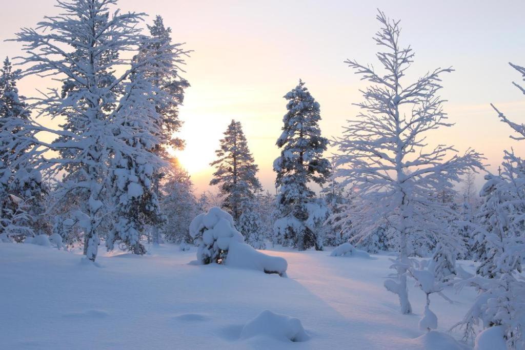 Kielo In Center Near All The Main Spots Rovaniemi Extérieur photo