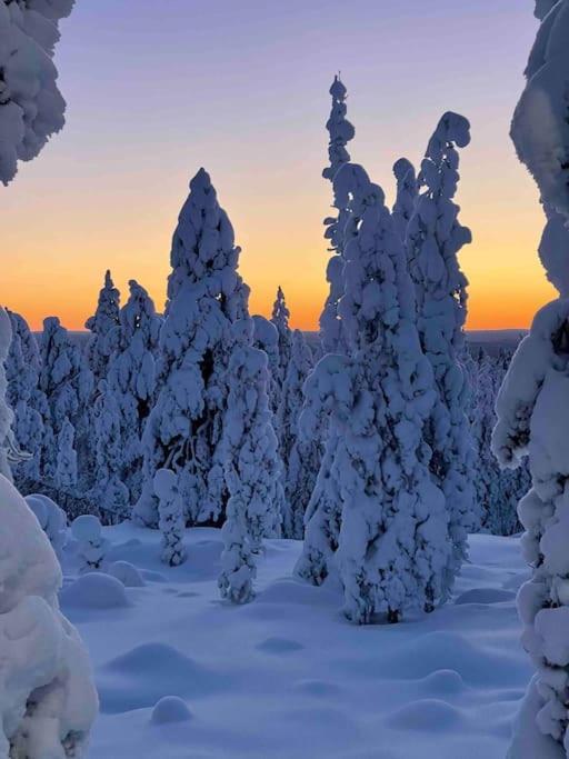 Kielo In Center Near All The Main Spots Rovaniemi Extérieur photo